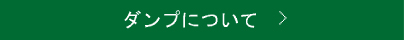 ダンプについて